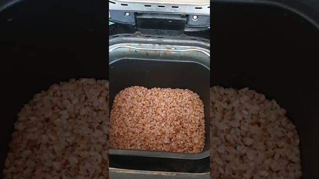 Только гречку в хлебопечку (Only buckwheat in the breadmachine) #buckwheat #