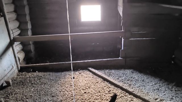 моё обычное деревенское утро