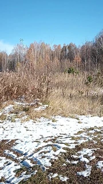 Строительство загородного дома ЧАСТЬ 1 (1000087638.mp4)