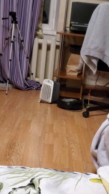 Прикольно получилось 😏 Робот пылесос и Вентилятор