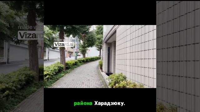 Прогулка по Харадзюку после дождя!
