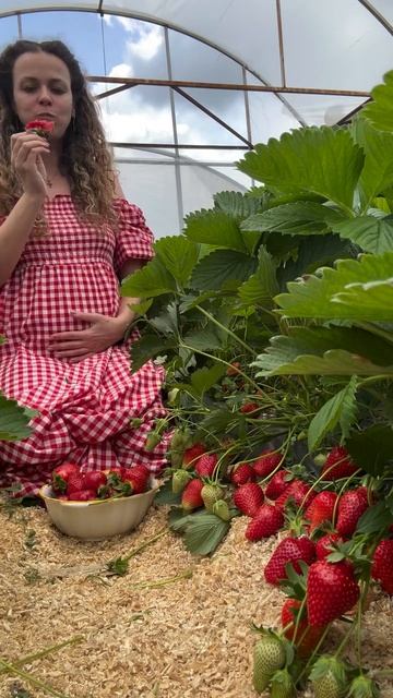 🍓🍓🍓