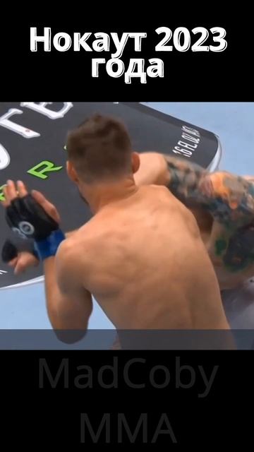 Лучший НОКАУТ в Легких ВЕСАХ! #ufc #ufc296 #bestknockouts