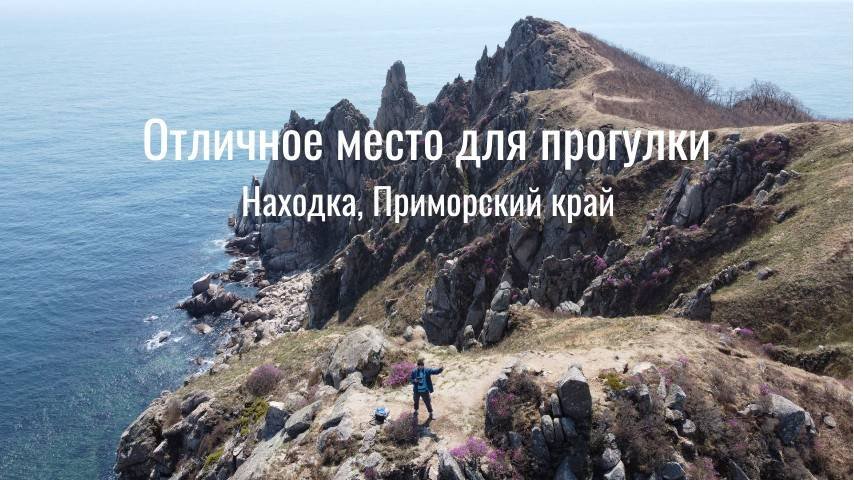 Живописный мыс Лисученко, Находка, Цветение Родидендрона