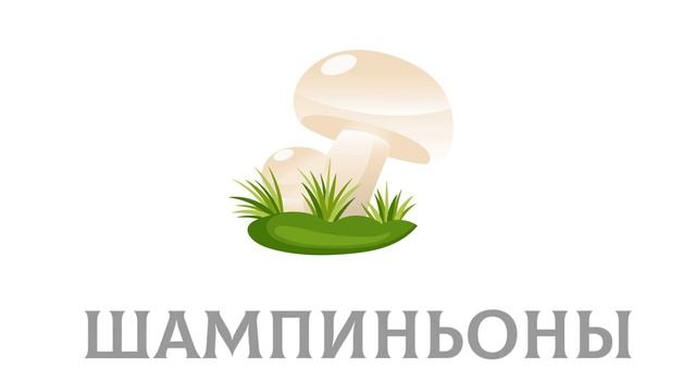 Изучаем грибы Съедобные и несъедобные Карточки Домана