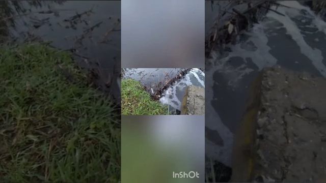 Случайная рыбалка.