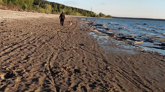 На дальних пляжах: нашел листовку в лесу - собираются вырубать лес и строить некое ТПУ,, а ущерб? 🤔