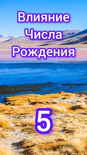 Влияние Числа Рождения 5 на Вашу жизнь #гороскоп #судьб