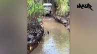 ГРУЗОВИКИ НА БЕЗДОРОЖЬЕ