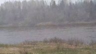 Погода в Костромской области,май.