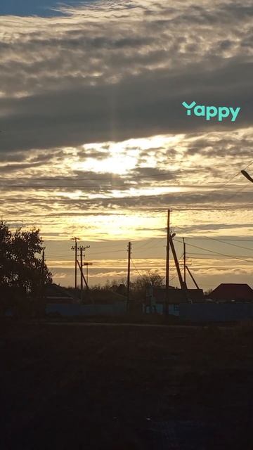 1010895410.mp4