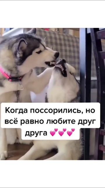 любовь