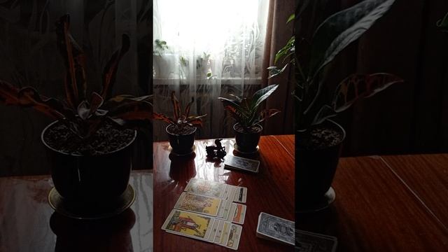 Таро.О чём думает мужчина.