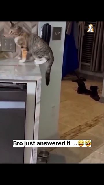 Секундочку! Щас открою!😂