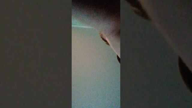 VID_20250504_181000.mp4