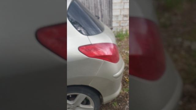 20250511_105233.mp4