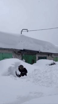 На Камчатке- апокалипсис