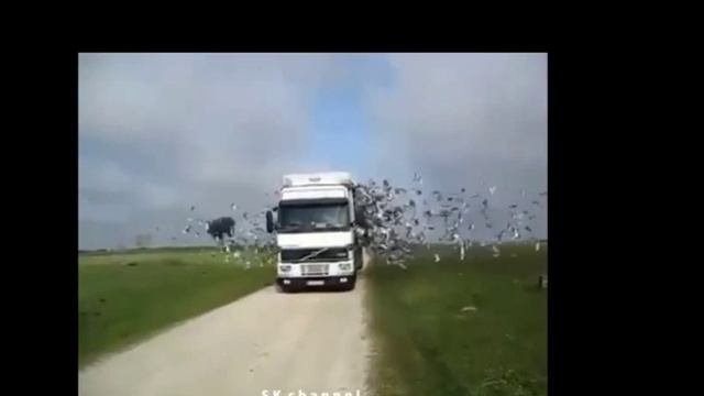 6 СекундныЕ Видео ПриколЫ