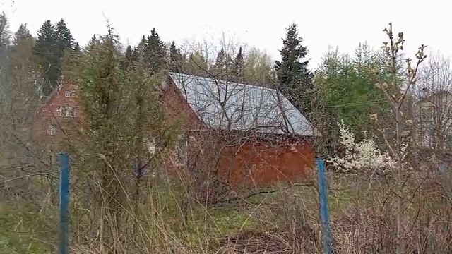 Видео WhatsApp 2025-05-12 в 14.02.51_640acbb0