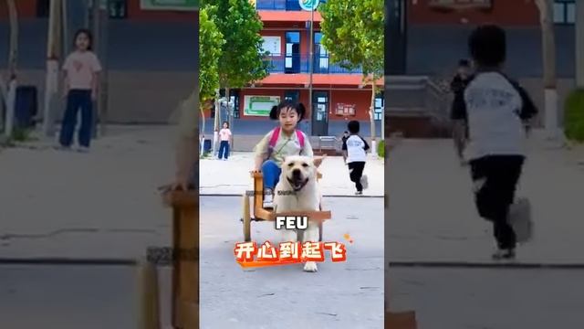 DES CHIENS 🐕 TRÈS UTILES EN CHINE.