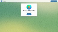Применение искусственного интеллекта в продажах компании STM Cosmetics