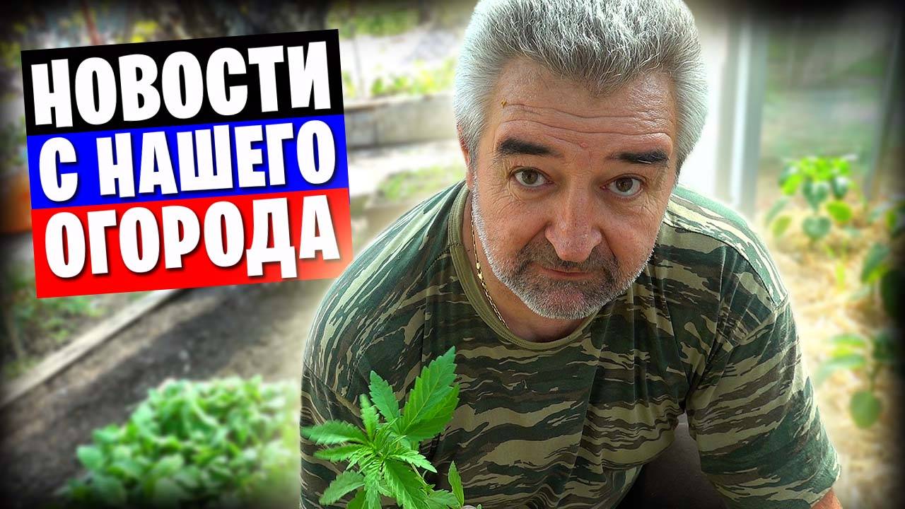 Киножурнал "Земля и глина" / Огород, теплица, кошки и о других делах немножко...