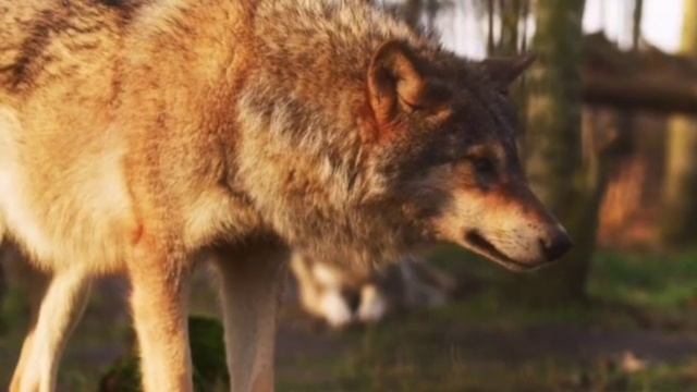 Заставляет задуматься..