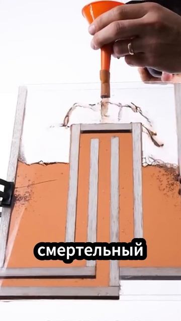 Чайник для наемных убийц #shorts #факты #история #китай #ин