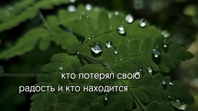 Слово на неделю.mp4