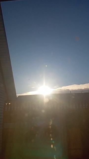 1010895431.mp4