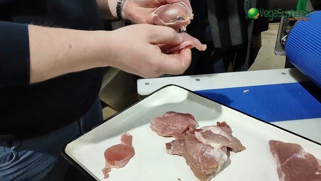 Горизонтальный слайсер Vega Meat Hor Slicer I Нарезка мяса слай