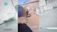 12.05.2025 Найден детёныша тюленя