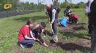В ХОДЕ ПАТРИОТИЧЕСКОЙ АКЦИИ В СТУДЕНКЕ ПРОШЛА ПОСАДКА КЕДРОВЫХ ДЕРЕВЬЕВ