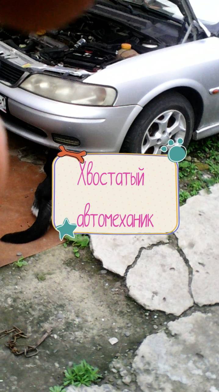 Хвостатый автомеханик))