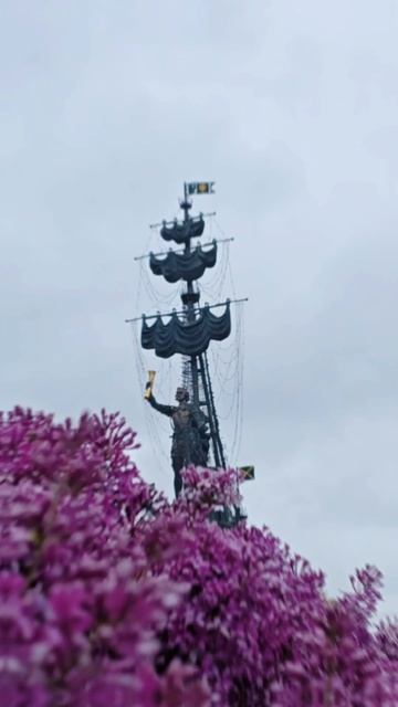Пётр в сиреневом море