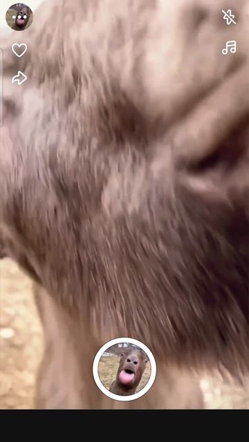 🤣🤣🤣🤣🤣🤣