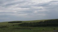 Это видео ЗАПРЕЩЕНО показывать детям! - Sky Scrapers -- HoliznaCC0 -- City Slacker
