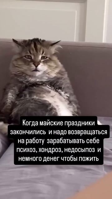 Праздники прошли, пора на работу