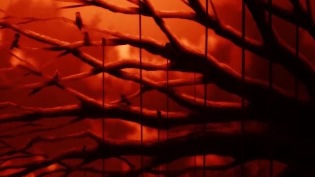 Алукард AMV Hellsing