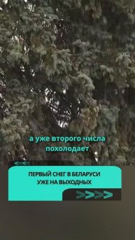 Первый снег в Беларуси уже на выходных #погода #белар?