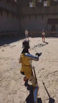 Relax fighting #halfsword #history #medieval