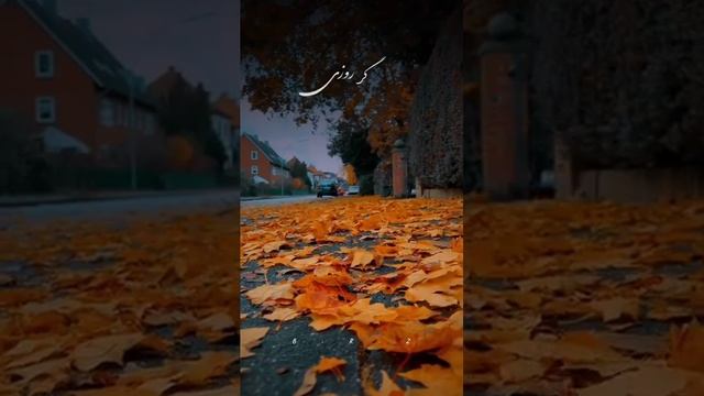 ناب ترین آهنگ های احمد ظاهر - Ahmad zahir ❤️ ___foryoupageシ _احمدظاهر _music _ahmadzahir _عاشقانه