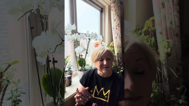 ТАРО прогноз. ТЕЛЕЦ. 17-23 Февраля 2025. TAROT forecast - Taurus. 17-23 Febr