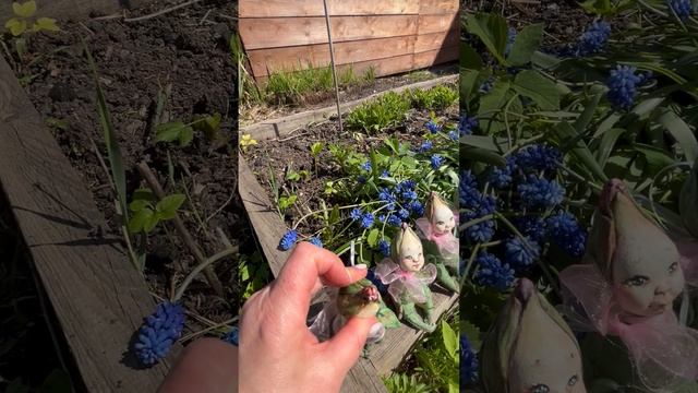 Гиоцинт закончила, фотосессия на природе