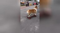 Best video of Tik Tok! 12.05.25 / 10