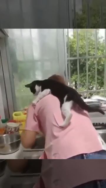 Давай обниму!😂