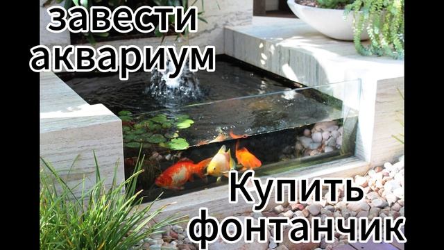 СЗД для РЫБ #астрология #гороскоп #натальнаякарта #инт?