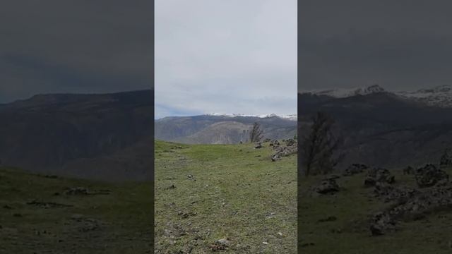 1000055536.mp4