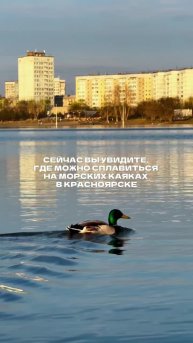 Красноярские походы, подробнее на стене группы