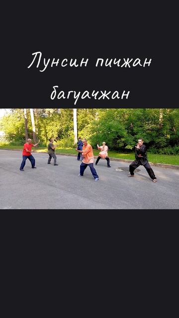 Лунсин пичжан багуа